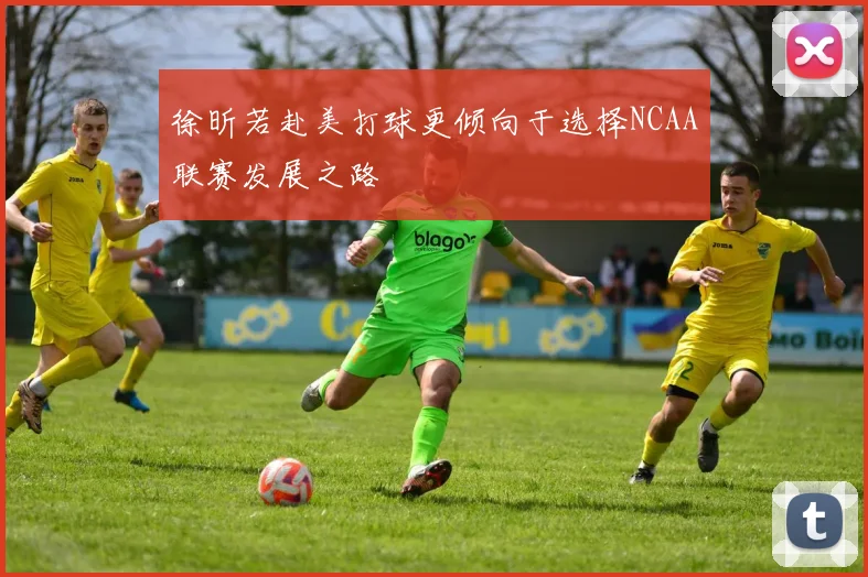 徐昕若赴美打球更倾向于选择NCAA联赛发展之路