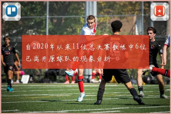 自2020年以来11位总决赛教练中6位已离开原球队的现象分析